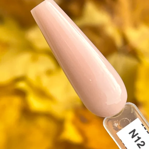 N12. From Suzana to Star