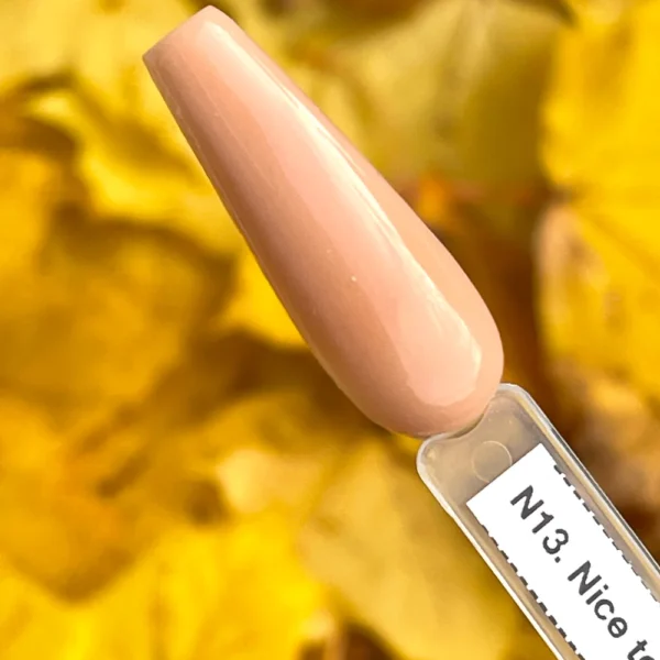 N13. Nice to Meet You