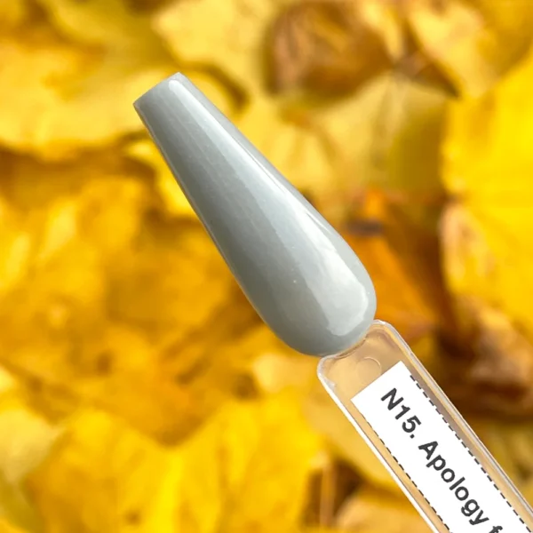 N15. Apology for my Style