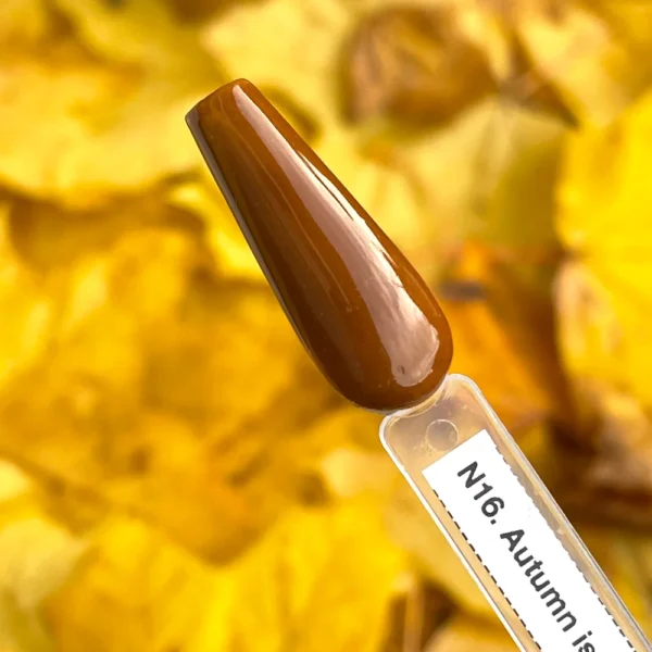 N16. Autumn is for Falling in Love