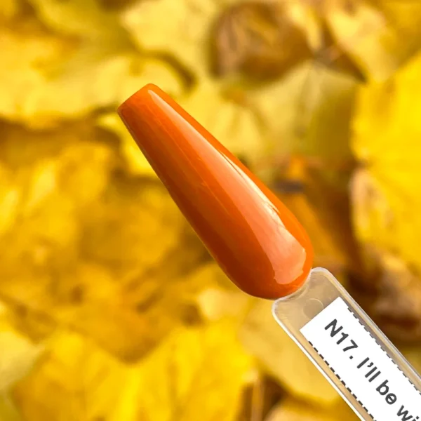 N17. I’ll be with You from Dusk till Dawn