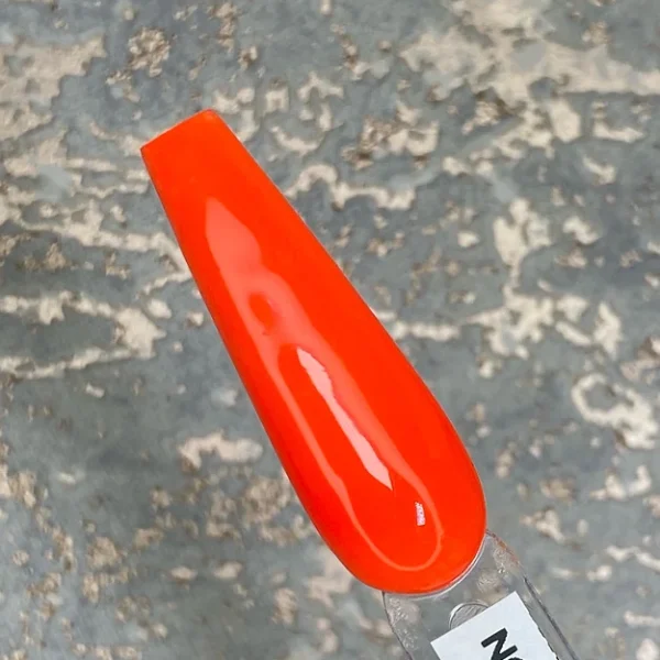 N60. My kitten in Summer