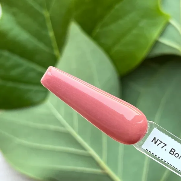 N77. Bora Bora Travel Guide