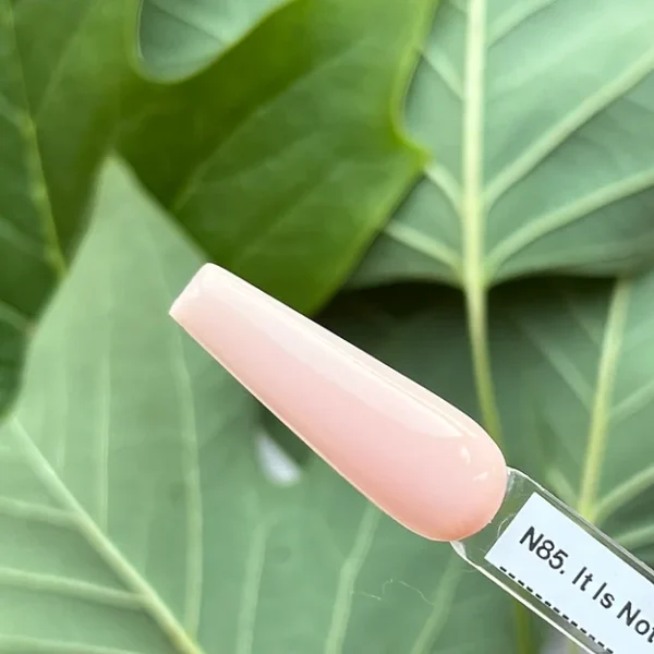 N85. It Is Not Remnants, It Is Eternity