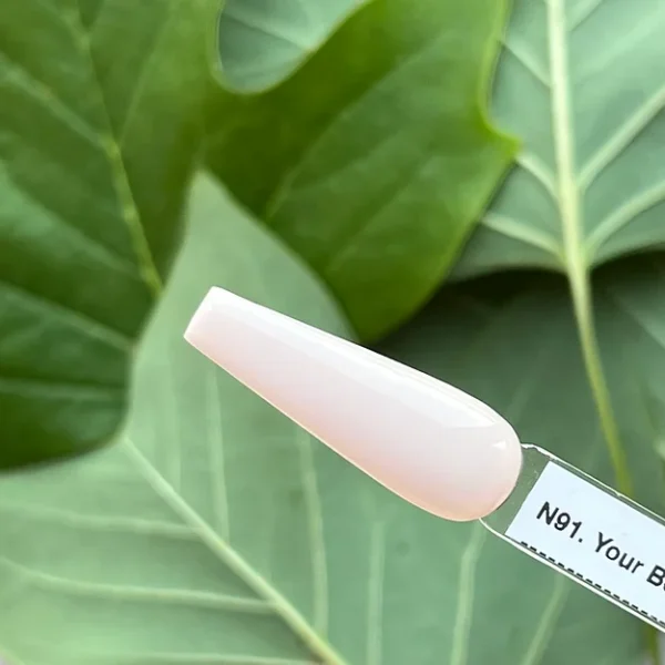 N91. Your Beauty Is Beyond Compared