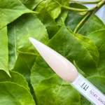 N147. Snowball Melon