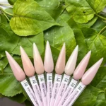 N150. Melon Rose - Image 3