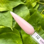 N169. Apple and Pear