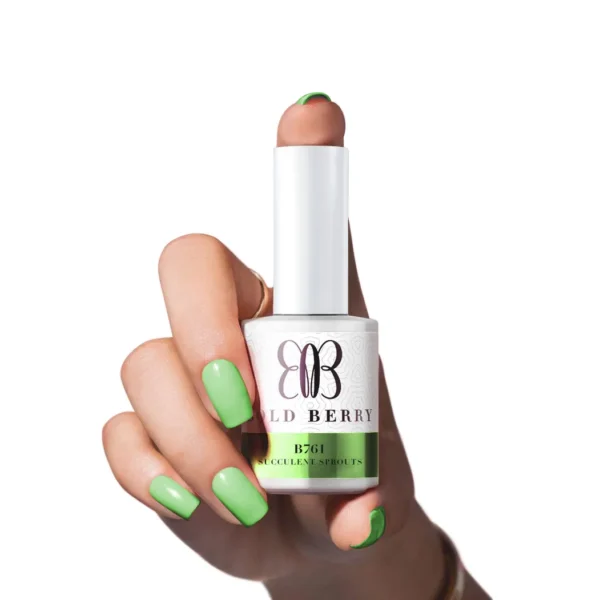 B761 - Succulent Sprouts